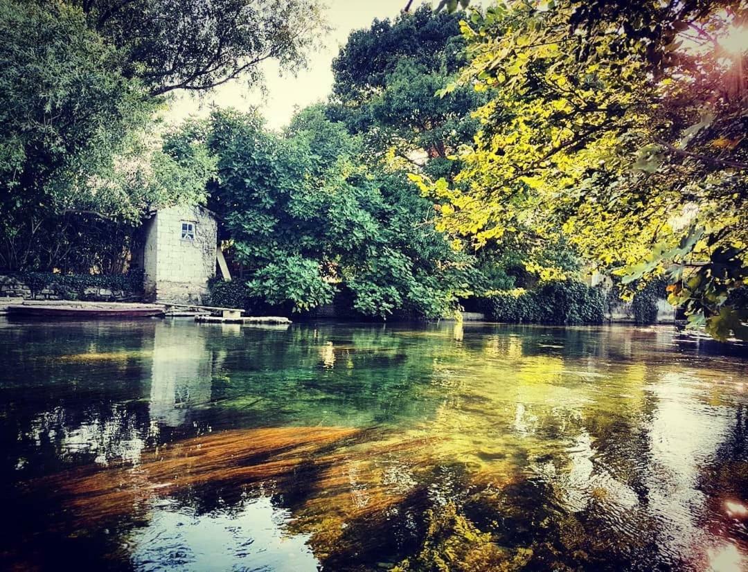 Mas Et Gite De La Picholine LʼIsle-sur-la-Sorgue Eksteriør billede